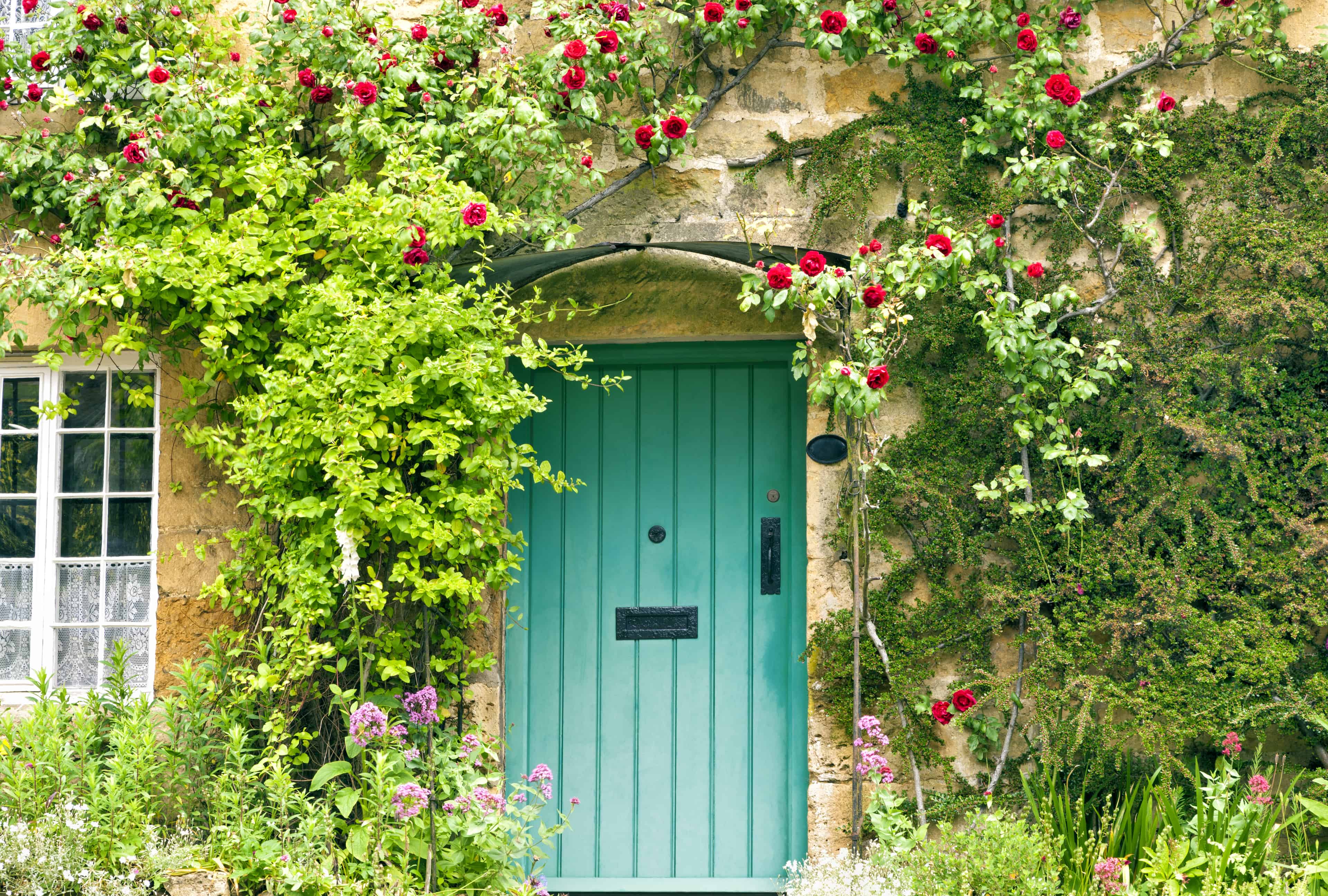 country cottage red roses around doorway